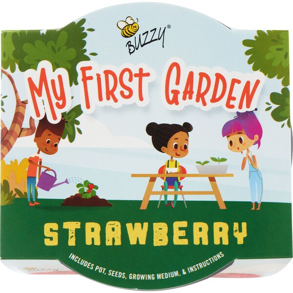 Buzzy Kid's Plastic Grow Pot Kit, Strawberry