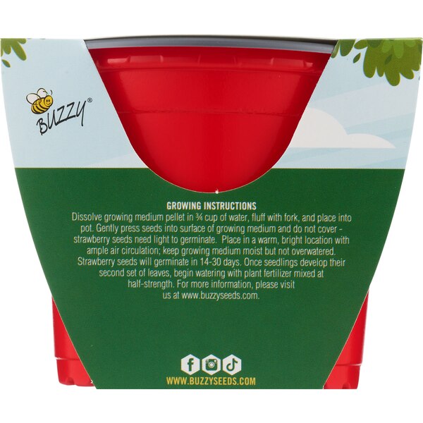 Buzzy Kid's Plastic Grow Pot Kit, Strawberry