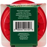 Buzzy Kid's Plastic Grow Pot Kit, Strawberry, thumbnail image