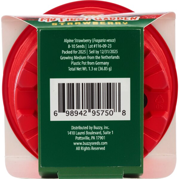 Buzzy Kid's Plastic Grow Pot Kit, Strawberry