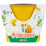 Buzzy Kid's Plastic Grow Pot Kit, Daisy, thumbnail image