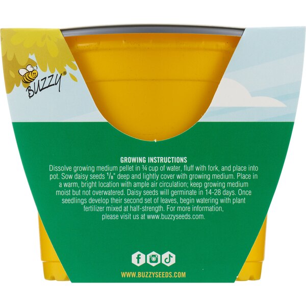 Buzzy Kid's Plastic Grow Pot Kit, Daisy