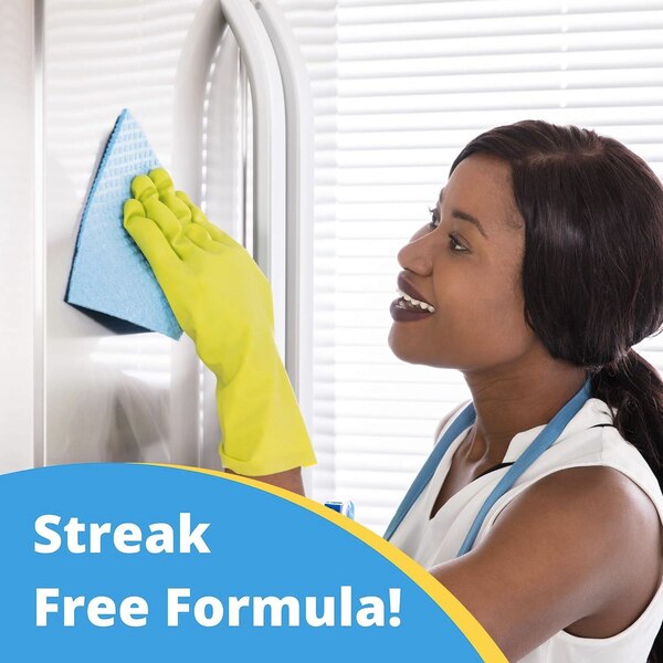 Carbona Stainless Steel Cleaner, 16 OZ