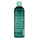 HASK Tea Tree Oil & Rosemary Invigorating Shampoo, 12 OZ, thumbnail image