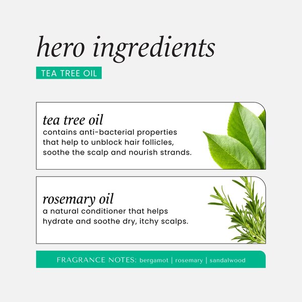 HASK Tea Tree Oil & Rosemary Hair & Scalp Treatment Mask, 1 Packet