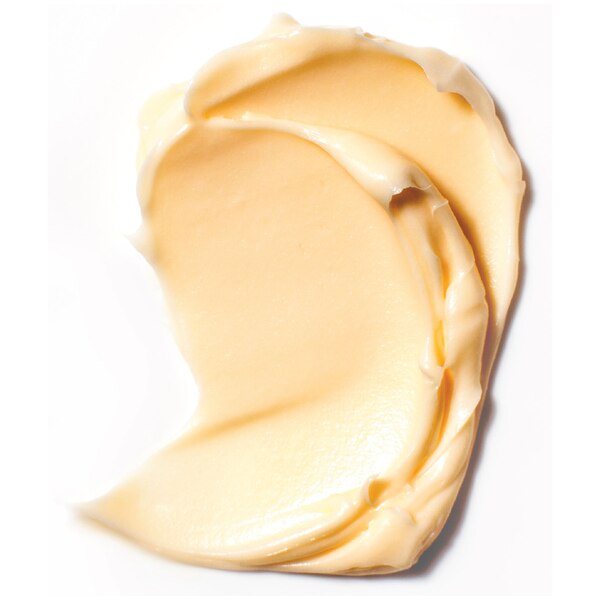 L'Oreal Paris Age Perfect Hydra Nutrition Honey Day Cream