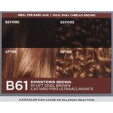 L'Oreal Paris Feria Multi-Faceted Shimmering Permanent Hair Color, thumbnail image