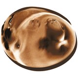 L'Oreal Paris Feria Multi-Faceted Shimmering Permanent Hair Color, thumbnail image