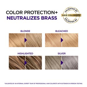 L'Oreal Paris EverPure Sulfate Free Anti Brass Purple Mask