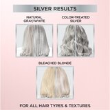 L'Oreal Paris Le Color Gloss One Step In-Shower Toning Gloss, Silver, thumbnail image