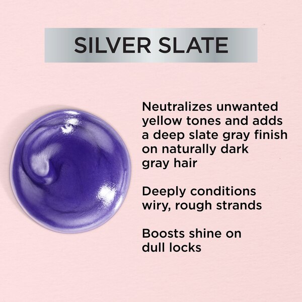 L'Oreal Paris Le Color Gloss One Step In-Shower Toning Gloss, Silver Slate