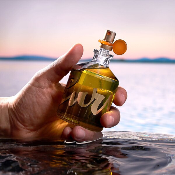 Curve For Men Cologne Spray