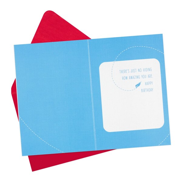 Hallmark Signature Birthday Card for Him (Superman Silhouette) E23