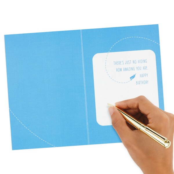 Hallmark Signature Birthday Card for Him (Superman Silhouette) E23