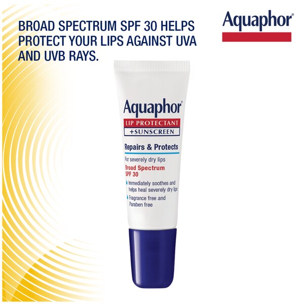 Aquaphor Lip Repair & Protect SPF 30 Dual Pack