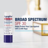 Aquaphor Lip Repair & Protect Lip Balm, 2 CT, thumbnail image