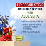 Aquaphor Aloe Vera Lip Repair Stick, 2 CT, thumbnail image