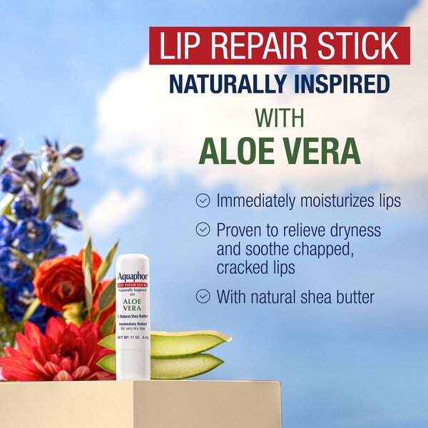 Aquaphor Aloe Vera Lip Repair Stick, 2 CT