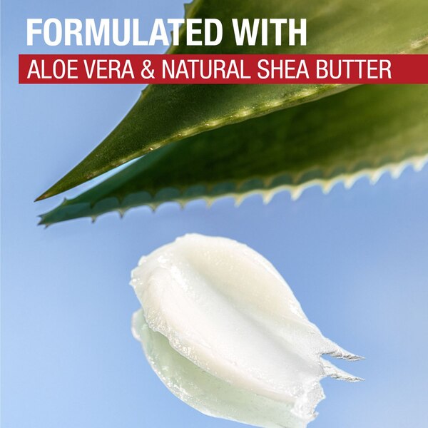 Aquaphor Aloe Vera Lip Repair Stick, 2 CT