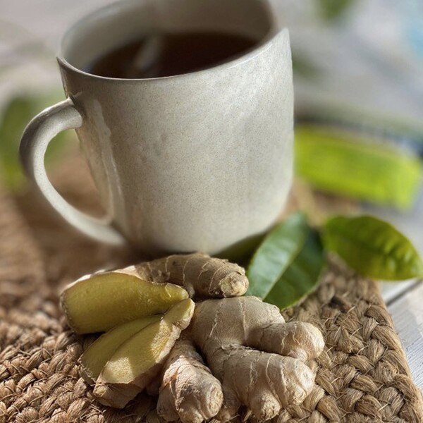 Bigelow Green Tea With Ginger Plus Probiotics, 18 CT