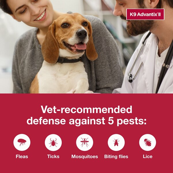 K9 Advantix II Medium Dog Flea & Tick Treatment, 2 ct