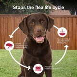 K9 Advantix II Large Dog Flea & Tick Treatment, 2 ct, thumbnail image