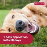 K9 Advantix II Large Dog Flea & Tick Treatment, 2 ct, thumbnail image