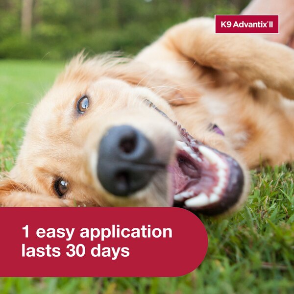 K9 Advantix II Large Dog Flea & Tick Treatment, 2 ct