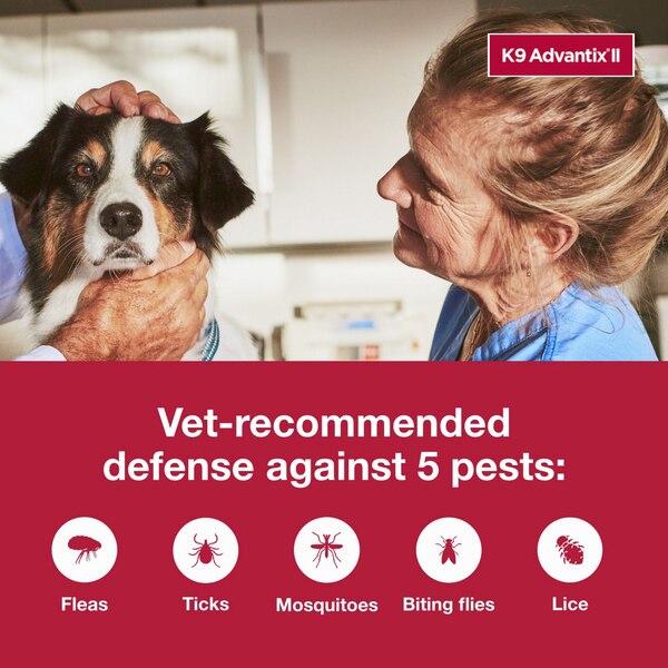 K9 Advantix II Large Dog Flea & Tick Treatment, 2 ct