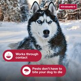 K9 Advantix II X-Large Dog Flea & Tick Treatment, 2 ct, thumbnail image