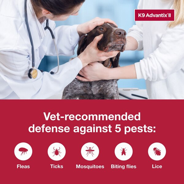 K9 Advantix II X-Large Dog Flea & Tick Treatment, 2 ct