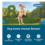 Seresto Dog Flea and Tick Collar, Small, 1 ct, thumbnail image