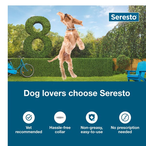 Seresto Dog Flea and Tick Collar, Small, 1 ct