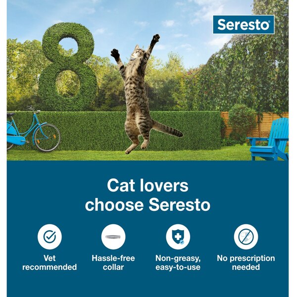 Seresto Cat Flea & Tick Collar, 1 ct