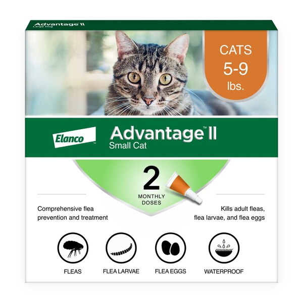 Advantage II Small Cat Flea & Tick Treatment, 2 ct