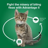 Advantage II Small Cat Flea & Tick Treatment, 2 ct, thumbnail image