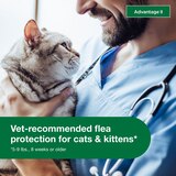 Advantage II Small Cat Flea & Tick Treatment, 2 ct, thumbnail image