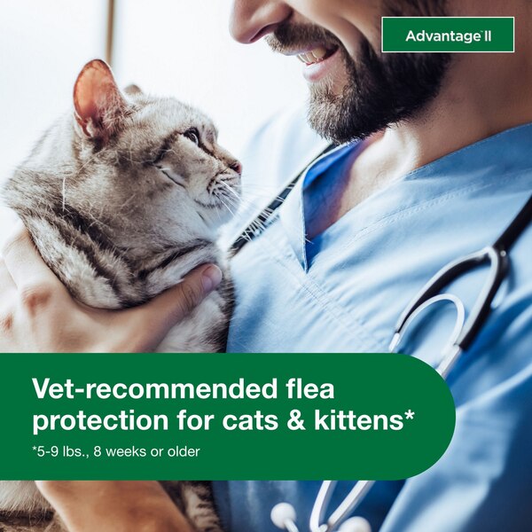 Advantage II Small Cat Flea & Tick Treatment, 2 ct