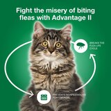 Advantage II Large Cat Flea & Tick Treatment, 2 ct, thumbnail image