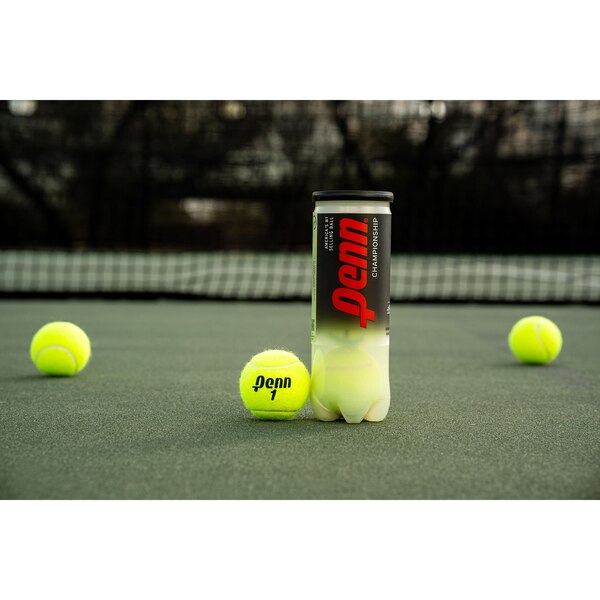 Penn Championship Extra Duty 3-Ball Can