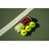 Penn Championship Extra Duty 3-Ball Can, thumbnail image