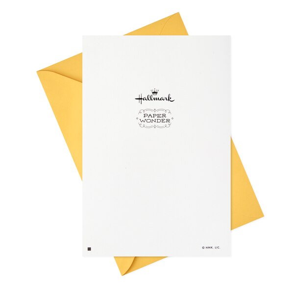 Hallmark Paper Wonder Pop Up Birthday Card (Someone to Celebrate) E14
