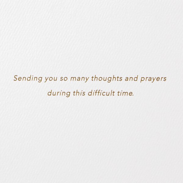 Hallmark Signature Sympathy Card (Many Thoughts and Prayers) E4
