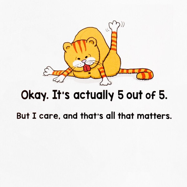 Hallmark Shoebox Funny Birthday Card (Cats Don't Care) #19