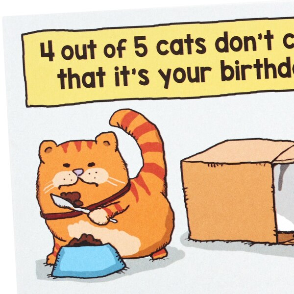 Hallmark Shoebox Funny Birthday Card (Cats Don't Care) #19