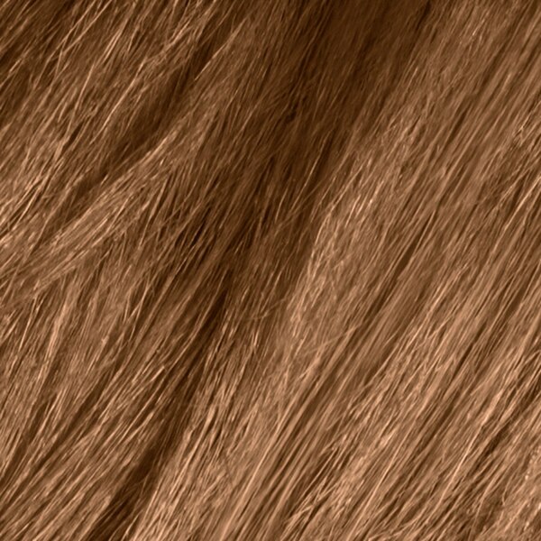 Dark & Lovely Fade Resist Permanent Hair Color