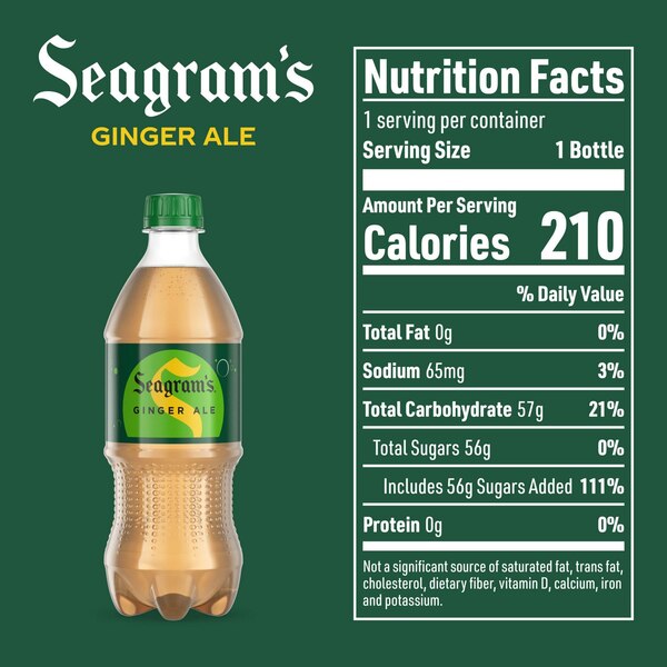 Seagrams Ginger Ale Bottle, 20 fl oz