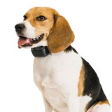 Premier Pet Bark Control Collar, thumbnail image