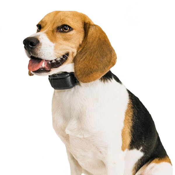 Premier Pet Bark Control Collar
