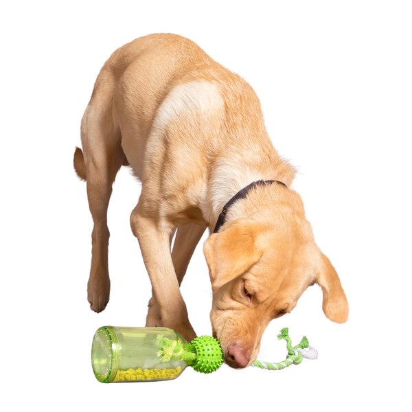 Premier Pet Meal & Treat Dispensing Dog Toy